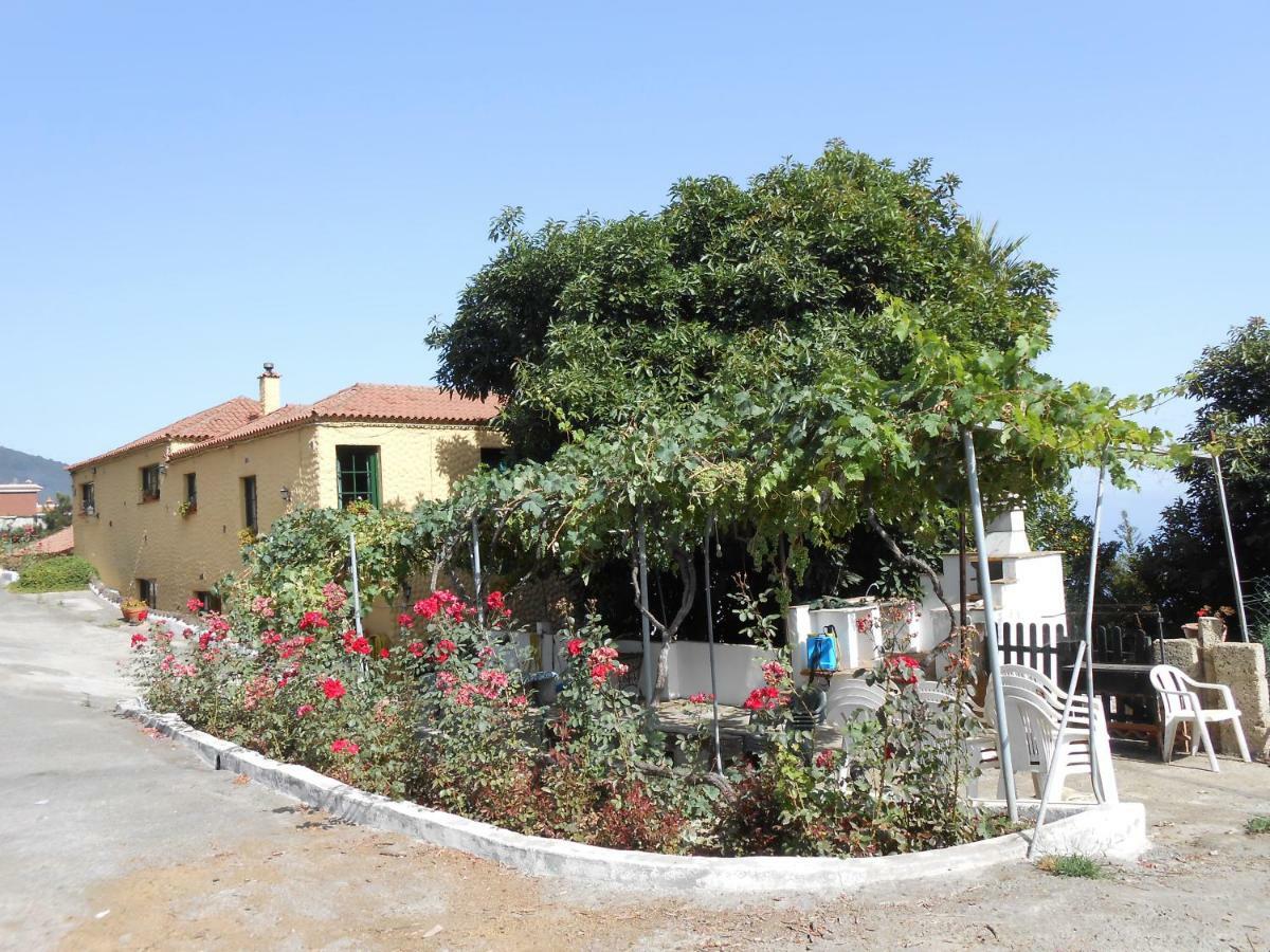 Casitas Las Uvas Y Las Vinas ลอส เรอาเลคอส ภายนอก รูปภาพ