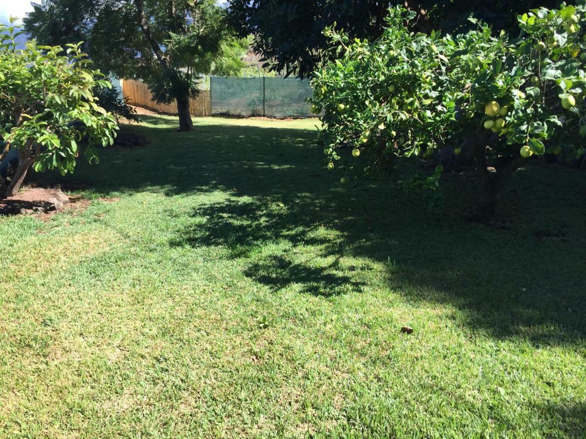 Casitas Las Uvas Y Las Vinas ลอส เรอาเลคอส ภายนอก รูปภาพ